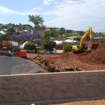 jacaranda tree brisbane